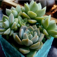 ����������౭-��Ҵ����������ˬ ������ɹ������