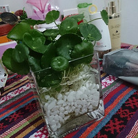 ����������౭��Ҵ�����+���Դ��ͥ