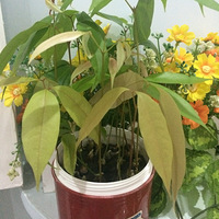 ����������౭��Ҵ�����+ ��û��С�������ĸϽ�