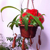 �������������Ҵ������ҵĻ��������