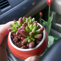 ����������౭��Ҵ�����+˼�ܴ��������������