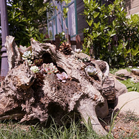 ����������౭��Ҵ�����+ƽ�������޵ĺ�����