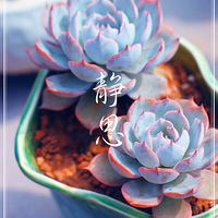 ����������౭��Ҵ���������ʢ��������������