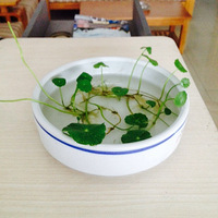 ����������౭��Ҵ���������ȫ���������Լ��ص��