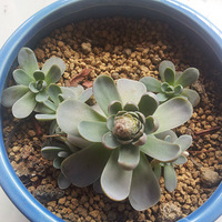 ����������౭��Ҵ��������������������Ŷӣ���������С��ǰ��