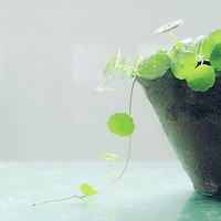 ����������౭��Ҵ������ҵ����⣬��Ǯ�޹أ�ȴ��ͭǮ���й�~