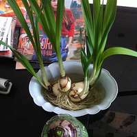 ����������౭��Ҵ�����ɹɹ����������С����ǣ������գ���