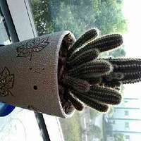 ����������౭��Ҵ�����֮�칫�ҵ��̻�