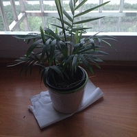 ����������౭��Ҵ�����+����ֲ�������ܰ