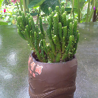 ����������౭��Ҵ�����+�Ҽҵ���Щ����ɫ������