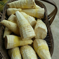 ����������౭��Ҵ������������ģ�����������С��԰�ĳɳ���