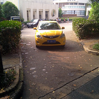 Ϊɶ�Ͳ��ú�ͣ����