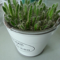 ����������౭��Ҵ�������������