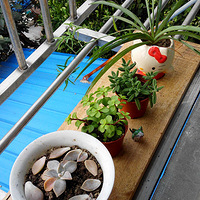 ����������౭��Ҵ��������˾�ϲ��ֲ������