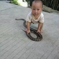 ת�� ��С��̫ţ�ˣ�ţ��һ����Ϳ��