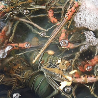 ��̲������