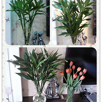 ����������౭��Ҵ�������Ϊ�������������