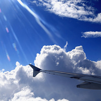 �����������Ĳ�ԭ�������ױ������ԭ������������