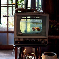 ��������������һ���Լ�������������������