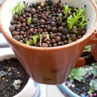 ����������౭��Ҵ�����+���