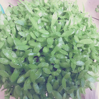 ����������౭��Ҵ�������������һ����ɫ