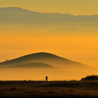 ��������ȥ����������ɫ