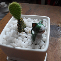 �������������Ҵ����� С����