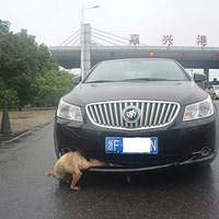 �������ڻ�������ҪС�ģ�һ�齻ͨ�¹�ԭ��ͼƬ���Ծ�ʾ��