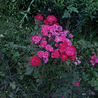 ����������౭��Ҵ�����+�ҼҵĻ����ݲ�