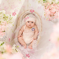 ���������գ����۵ļ����������۾���̫����