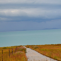 ���������滷��9�������