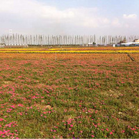 ·���������ϣ�����������