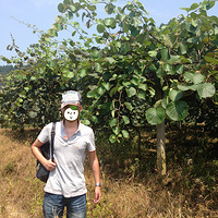 ���ν�ɽ~⨺���֮��~