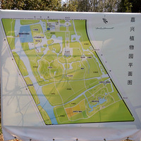 ����ֲ��԰