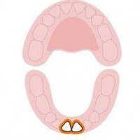 ����Ū�屦������˳��