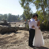 ���򵥣�����������������ȫ��¶