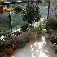 ���ָ�һ��