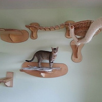 �Ϸ����ߵ����������ֳ�