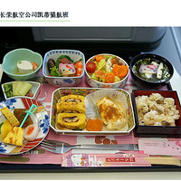 ������ʳ �������18�ַɻ���