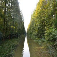 ������¶Ӫ��2014����죩