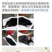 ��Ҳ�ŵ��ˣ���ʾû������ô��ֻ��