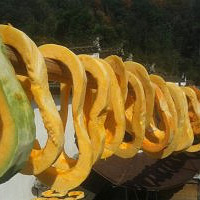 ƽ���������Ũ