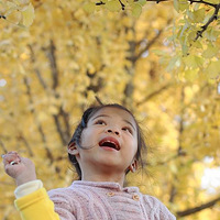 �������ڻ���~~~~~~