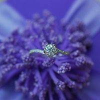 ��12.21���ڡ�����������ô����