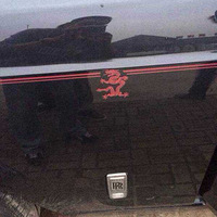 ����Բ���� �Գ�13����˹��˹��Ӱ�й���˽�˶��ư�