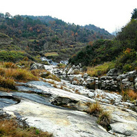 ͦ�����ɽ&��������կ