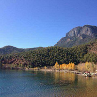 ������������糿����������Ȧ��