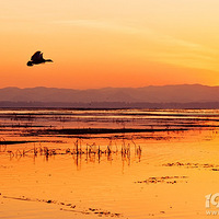 12�·��Լ���ȥ����ã�ʮ���й��������е��Ƽ�