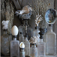 �������ö�����������ư���