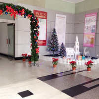 ��������顱��������С����~